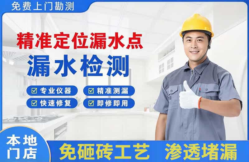 海伦精准测漏点
